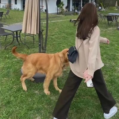 浪女回头